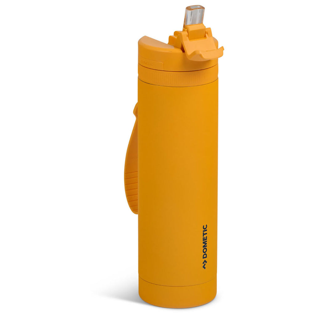 Dometic Glow Straw Bottle - 650 mL