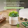 Lifelines Two Toned Succulent Plant Diffuser