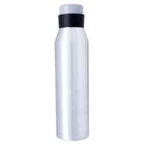 Good Value Silver Nick Aluminum Bottle - 24 oz