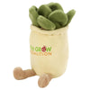 Chelsea Teddy Bear Succulent Zenzies 7
