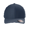 Color Navy