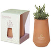 Modern Sprout Sahara/Lavender Tapered Tumbler Grow Kit