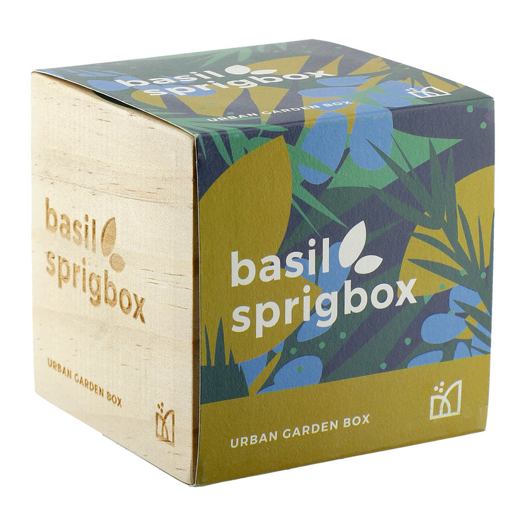 Sprigbox Wood Basil Grow Kit