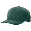 Color Dark Green