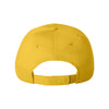 Valucap Yellow Econ Cap