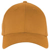 Ahead Copper/Copper Lynx Cap