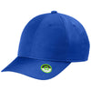 Port Authority True Royal Eco Cap