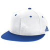 Color Royal Blue