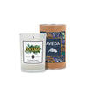SnugZ Grapefruit Currant Scented Tumbler Candle in a Cardboard Gift Tube with Metal Lid 8 oz.